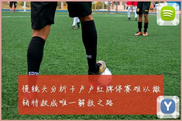 慢镜头分析卡卢卢红牌停赛难以撤销特赦成唯一解救之路