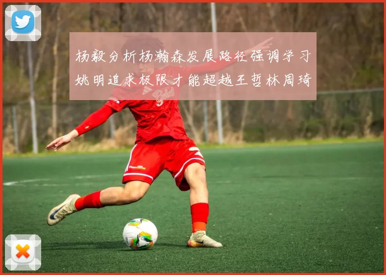 杨毅分析杨瀚森发展路径强调学习姚明追求极限才能超越王哲林周琦状态
